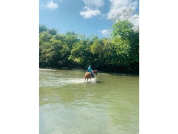 VENDO 900 HECTAREAS EN EL SUR DE SON DE VERAGUAS