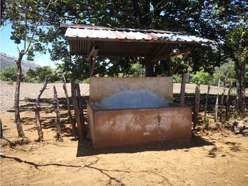 VENDO 900 HECTAREAS EN EL SUR DE SON DE VERAGUAS