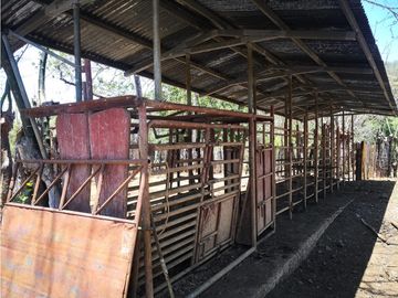 VENDO 900 HECTAREAS EN EL SUR DE SON DE VERAGUAS