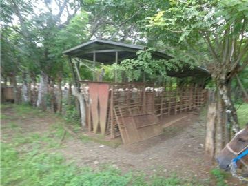 VENDO 900 HECTAREAS EN EL SUR DE SON DE VERAGUAS