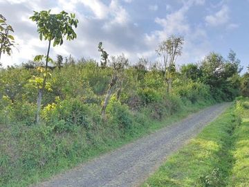 kebun apel dan jeruk produktif lokasi super strategis kawasan pasar pujon