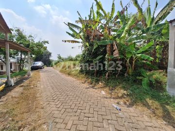 Tanah Luas 8.043 M² Harga Menarik di Parung Panjang Dekat Stasiun & Kawasan BSD