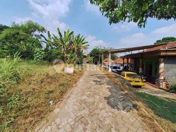 Tanah Luas 8.043 M² Harga Menarik di Parung Panjang Dekat Stasiun & Kawasan BSD