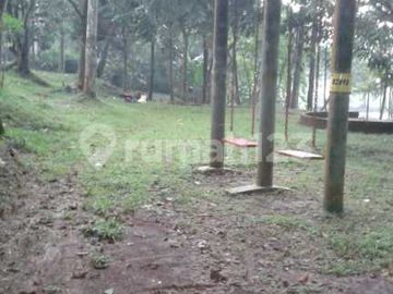 Dijual Tanah di Ciseeng, Kab Bogor