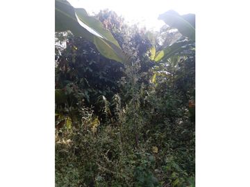 FUNDO AGRCOLA PARA SIEMBRA O PROYECTOS DIVERSOS EN CHANCHAMAYO
