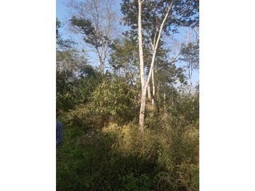FUNDO AGRCOLA PARA SIEMBRA O PROYECTOS DIVERSOS EN CHANCHAMAYO