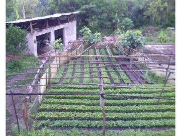 FUNDO AGRCOLA PARA SIEMBRA O PROYECTOS DIVERSOS EN CHANCHAMAYO