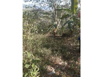FUNDO AGRCOLA PARA SIEMBRA O PROYECTOS DIVERSOS EN CHANCHAMAYO