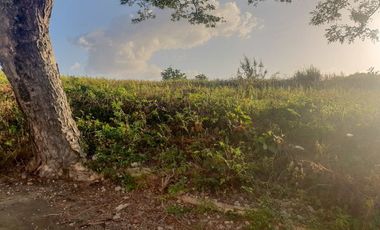 Overlooking Affordable 133 Sqm Lot for Sale in Aspen Heights Consolacion Cebu