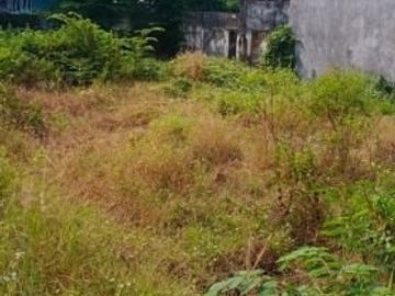 DIJUAL MURAH TANAH KOMERSIAL NOL JALAN RAYA LEGUNDI DRIYOREJO GRESIK
