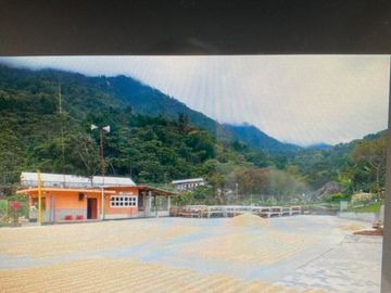 VR-436 RANCHO CAFETALERO PRODUCTIVO EN CHIAPAS