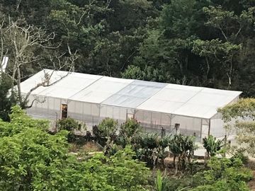 VR-436 RANCHO CAFETALERO PRODUCTIVO EN CHIAPAS