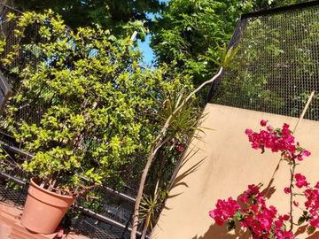 Hermosa casa de 3 ambientes con patio y terraza refaccionada a nuevo