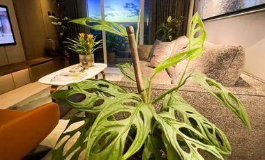 Shang Residences Wack Wack | 1 Bedroom | Pre-selling Mandaluyong Condo
