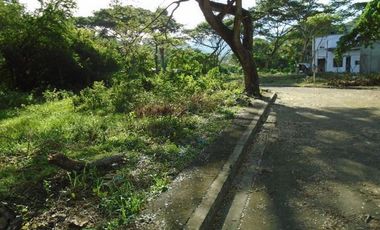 Most Affordable 150 Sqm Lot for Sale in Greenwoods near Talamban Cebu City
