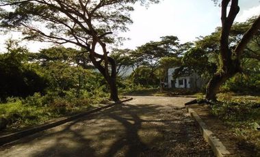 Most Affordable 150 Sqm Lot for Sale in Greenwoods near Talamban Cebu City
