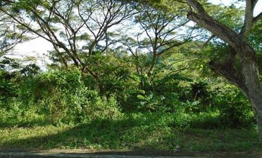 Most Affordable 150 Sqm Lot for Sale in Greenwoods near Talamban Cebu City