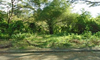 Most Affordable 150 Sqm Lot for Sale in Greenwoods near Talamban Cebu City