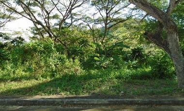 Most Affordable 150 Sqm Lot for Sale in Greenwoods near Talamban Cebu City