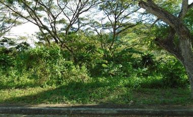Most Affordable 150 Sqm Lot for Sale in Greenwoods near Talamban Cebu City