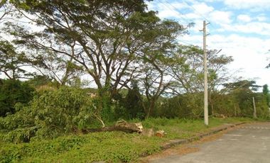 221 SQM Subdivision Lot for Sale in Greenwoods near Talamban Cebu City