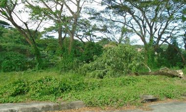 221 SQM Subdivision Lot for Sale in Greenwoods near Talamban Cebu City