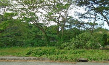 221 SQM Subdivision Lot for Sale in Greenwoods near Talamban Cebu City