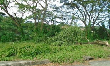 221 SQM Subdivision Lot for Sale in Greenwoods near Talamban Cebu City
