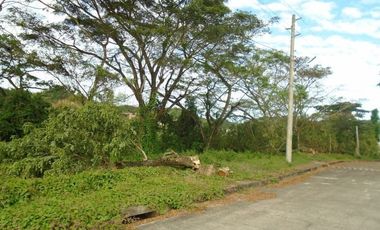 221 SQM Subdivision Lot for Sale in Greenwoods near Talamban Cebu City