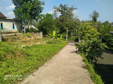Tanah karangpandan 276m 175jt datar bagus dingin