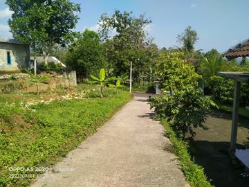Tanah karangpandan 276m 175jt datar bagus dingin