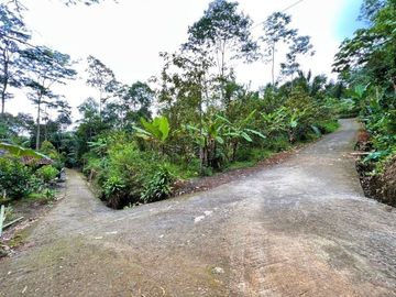 Tanah Kebun Jambu Kemuning Karanganyar