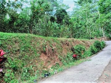 Tanah Kebun Jambu Kemuning Karanganyar