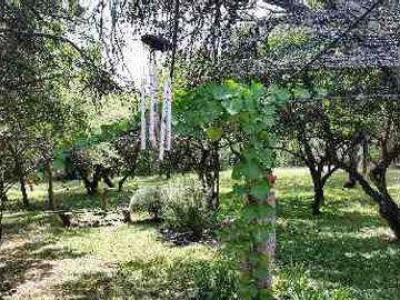 Chalet en venta en Merlo