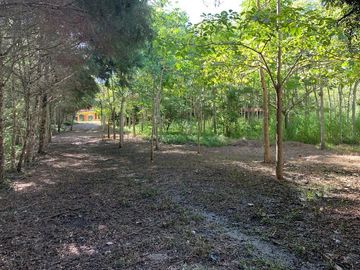 QUINTA  DE OPORTUNIDAD EN SAN FERNANDO CHIAPAS