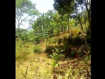 Jual Cepat Tanah Murah 25 Ha Di Cililin Kota Bandung Barat