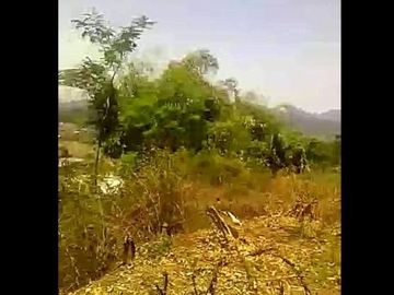 Jual Cepat Tanah Murah 25 Ha Di Cililin Kota Bandung Barat