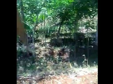 Jual Cepat Tanah Murah 25 Ha Di Cililin Kota Bandung Barat