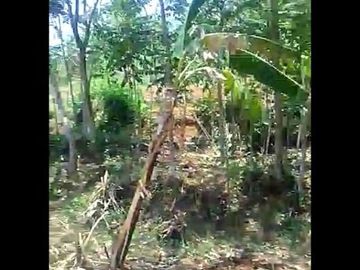 Jual Cepat Tanah Murah 25 Ha Di Cililin Kota Bandung Barat