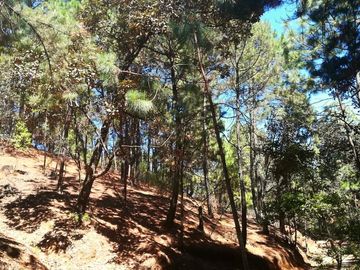 Rancho Venta El Charo Michoacán