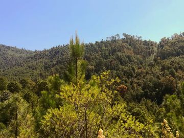 Rancho Venta El Charo Michoacán