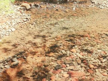 Rancho Venta El Charo Michoacán