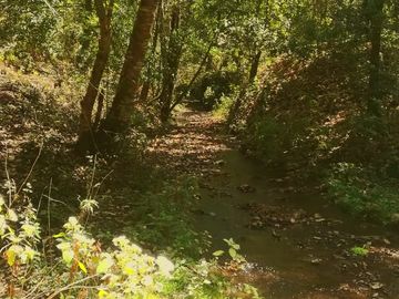 Rancho Venta El Charo Michoacán