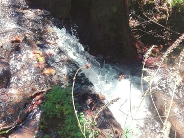 Rancho Venta El Charo Michoacán