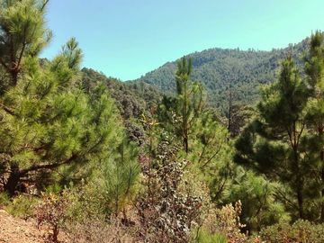 Rancho Venta El Charo Michoacán