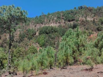 Rancho Venta El Charo Michoacán