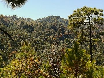Rancho Venta El Charo Michoacán