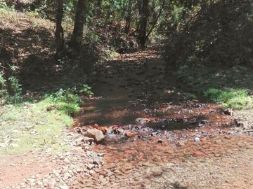 Rancho Venta El Charo Michoacán