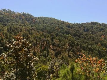 Rancho Venta El Charo Michoacán