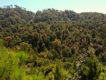 Rancho Venta El Charo Michoacán